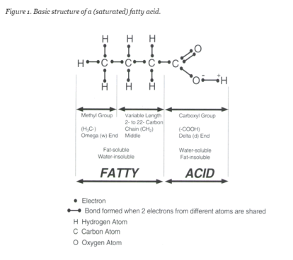 nomenclature acides gras